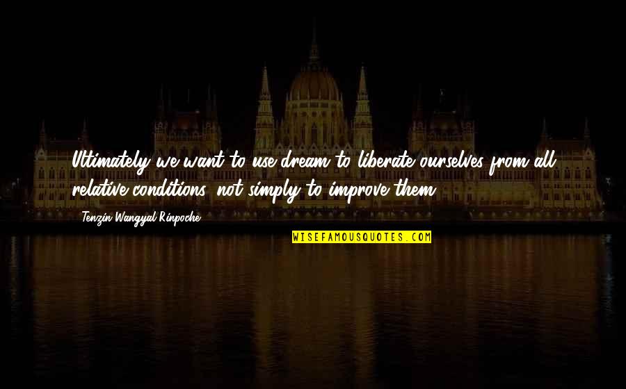 Gaining Confidence In Yourself Quotes By Tenzin Wangyal Rinpoche: Ultimately we want to use dream to liberate