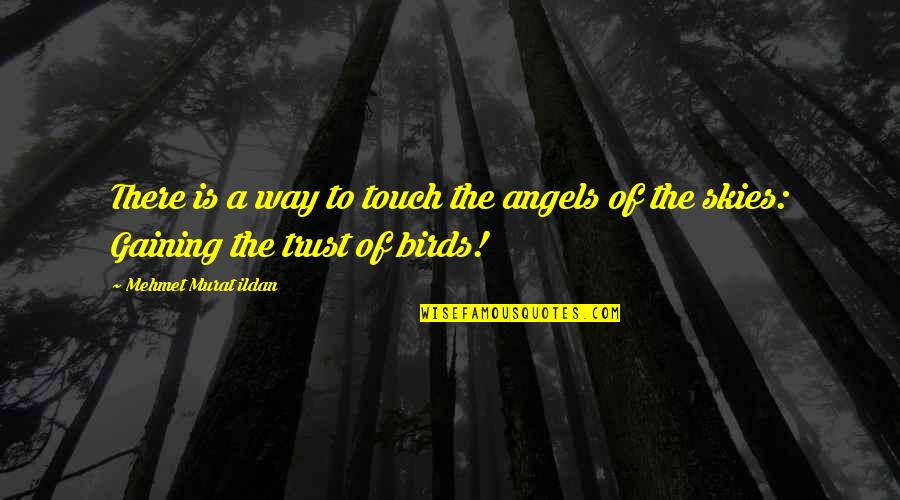 Gaining Trust Quotes By Mehmet Murat Ildan: There is a way to touch the angels