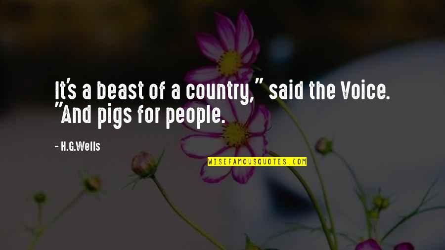 Gaison Ontai Quotes By H.G.Wells: It's a beast of a country," said the