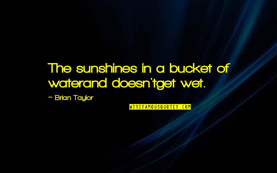 Gaity Quotes By Brian Taylor: The sunshines in a bucket of waterand doesn'tget