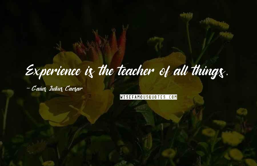 Gaius Julius Caesar quotes: Experience is the teacher of all things.