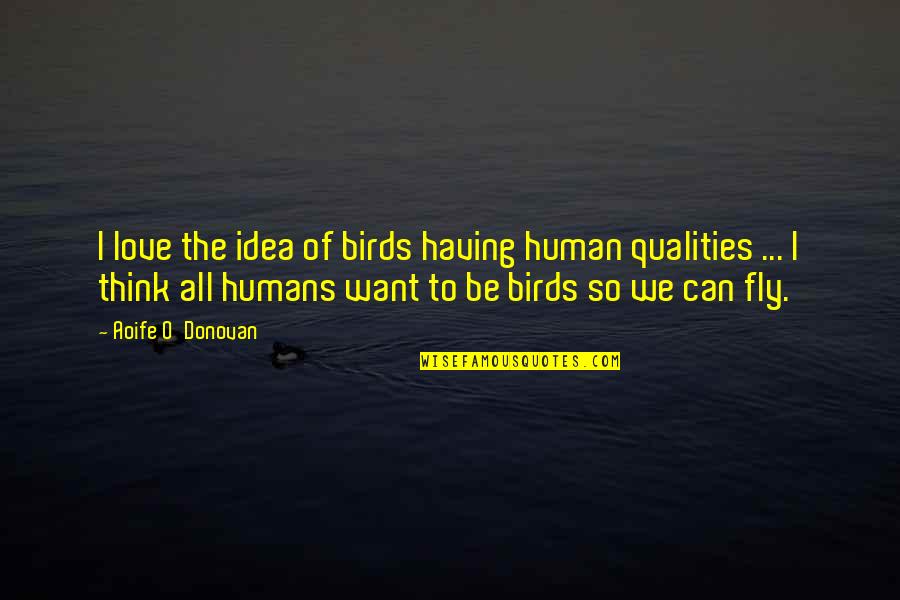 Galaxy Imob Quotes By Aoife O'Donovan: I love the idea of birds having human Galaxy Imob Quotes By Aoife O'Donovan: I love the idea of birds having human
