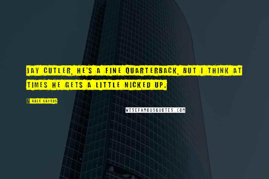 Gale Sayers quotes: Jay Cutler, he's a fine quarterback, but I think at times he gets a little nicked up.