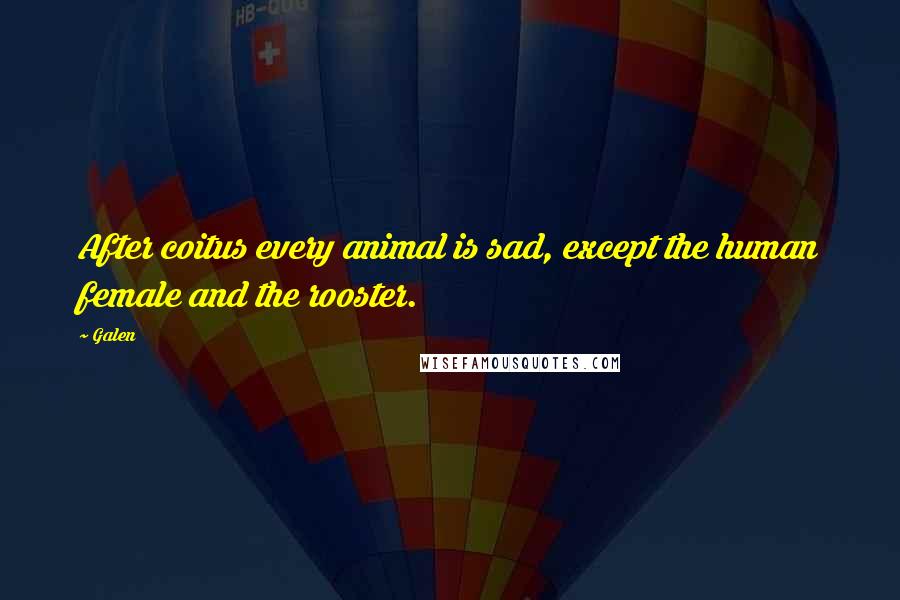 Galen quotes: After coitus every animal is sad, except the human female and the rooster. Galen quotes: After coitus every animal is sad, except the human female and the rooster.