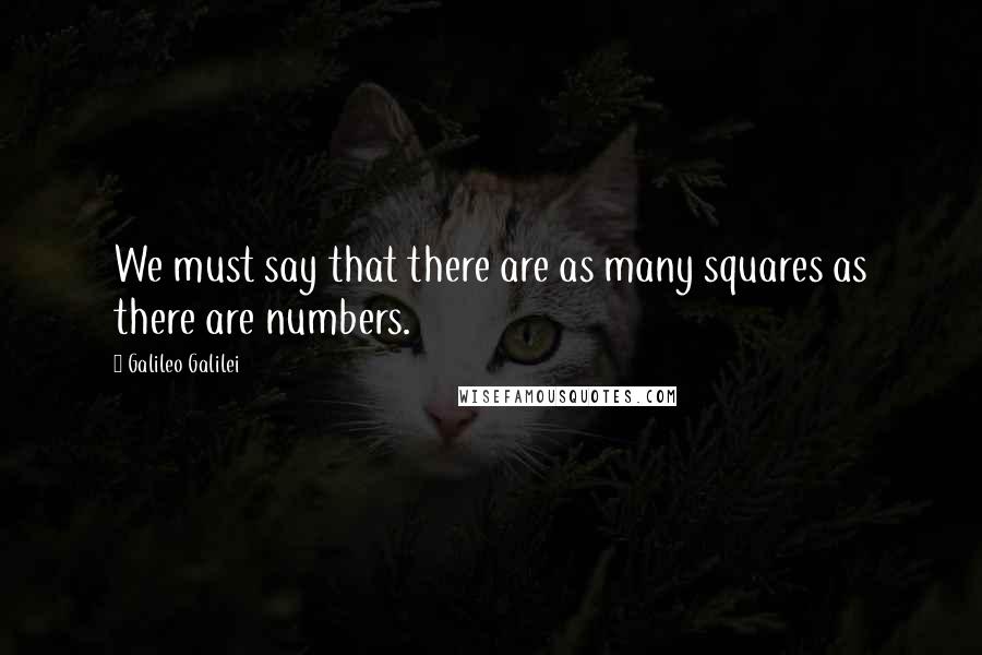 Galileo Galilei quotes: We must say that there are as many squares as there are numbers.