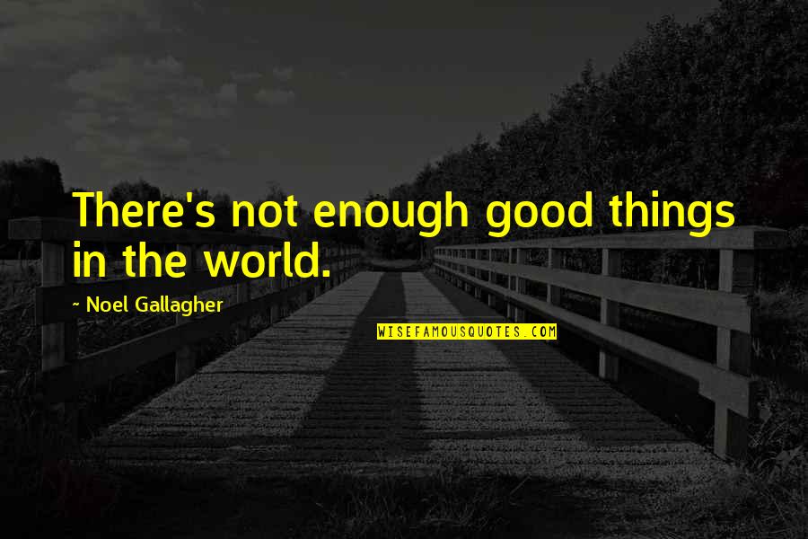 Gallagher's Quotes By Noel Gallagher: There's not enough good things in the world.