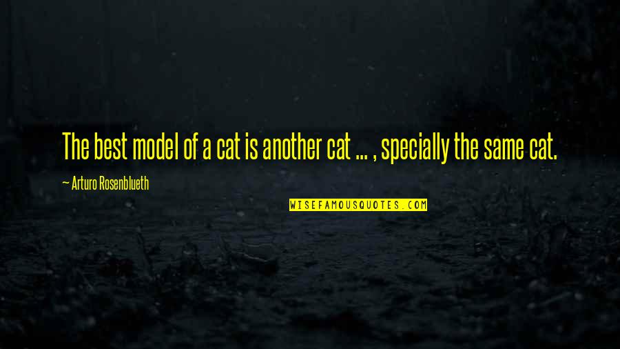 Gallery Wall 3d Quotes By Arturo Rosenblueth: The best model of a cat is another