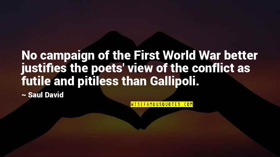 Gallipoli War Quotes By Saul David: No campaign of the First World War better