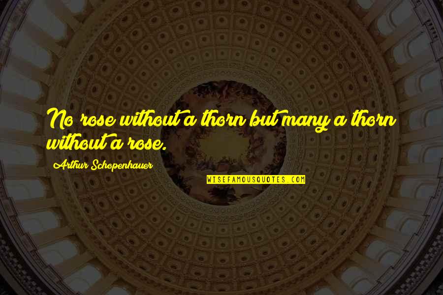Galopperen Quotes By Arthur Schopenhauer: No rose without a thorn but many a Galopperen Quotes By Arthur Schopenhauer: No rose without a thorn but many a