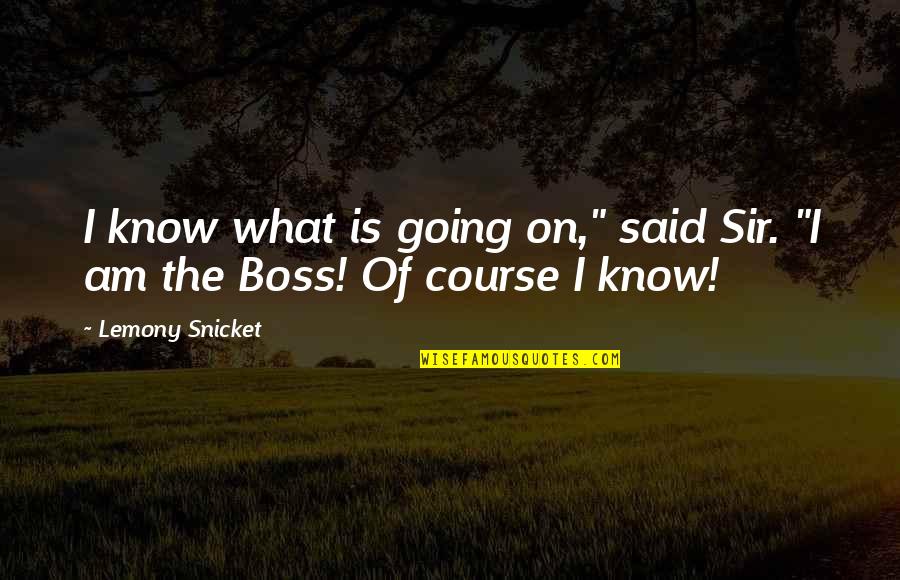 Galronus Quotes By Lemony Snicket: I know what is going on," said Sir.