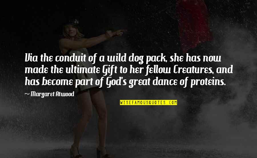 Galstyan Stepan Quotes By Margaret Atwood: Via the conduit of a wild dog pack, Galstyan Stepan Quotes By Margaret Atwood: Via the conduit of a wild dog pack,