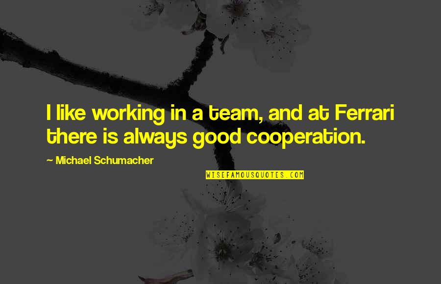 Galvin Quotes By Michael Schumacher: I like working in a team, and at