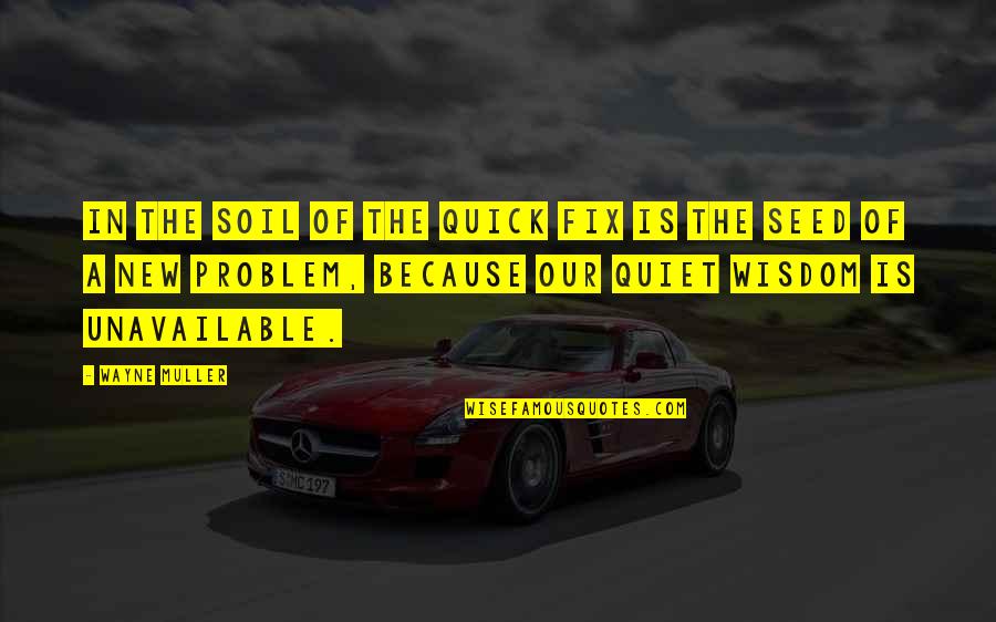 Gamander Quotes By Wayne Muller: In the soil of the quick fix is Gamander Quotes By Wayne Muller: In the soil of the quick fix is