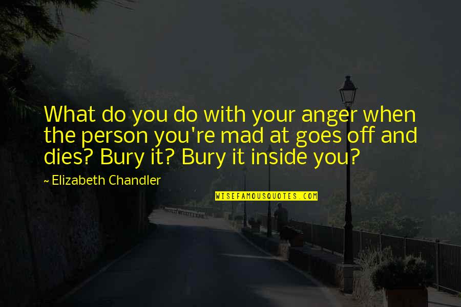 Gambling Recovery Quotes By Elizabeth Chandler: What do you do with your anger when