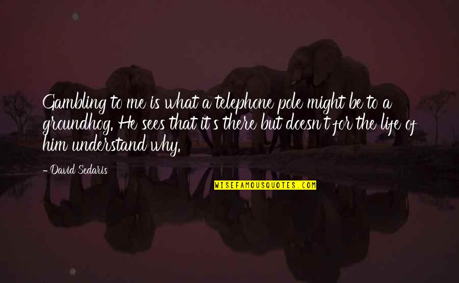 Gambling Your Life Quotes By David Sedaris: Gambling to me is what a telephone pole