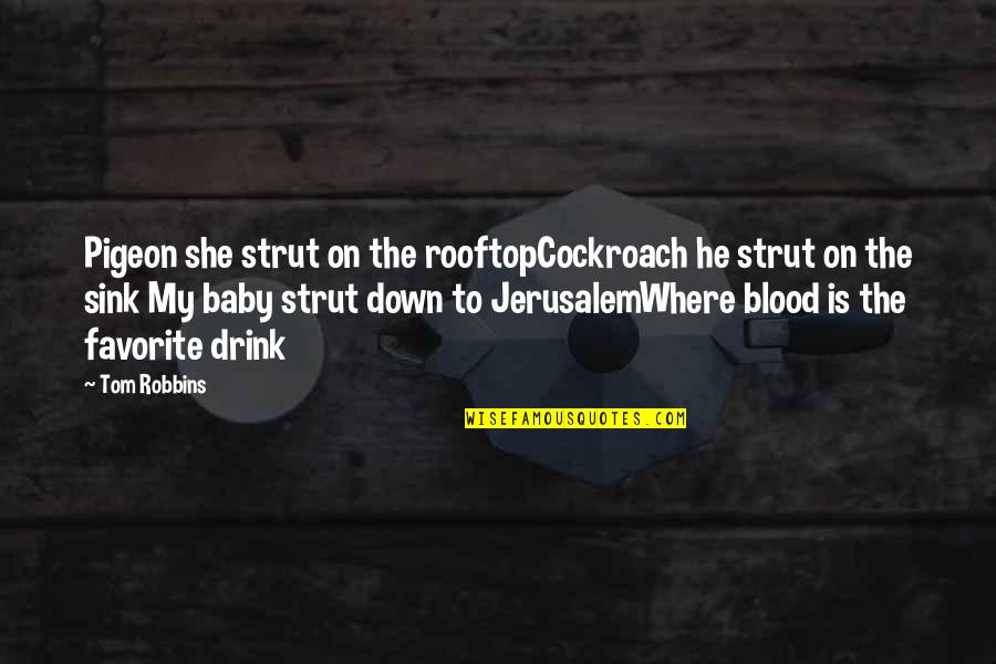 Game Day Volleyball Quotes By Tom Robbins: Pigeon she strut on the rooftopCockroach he strut