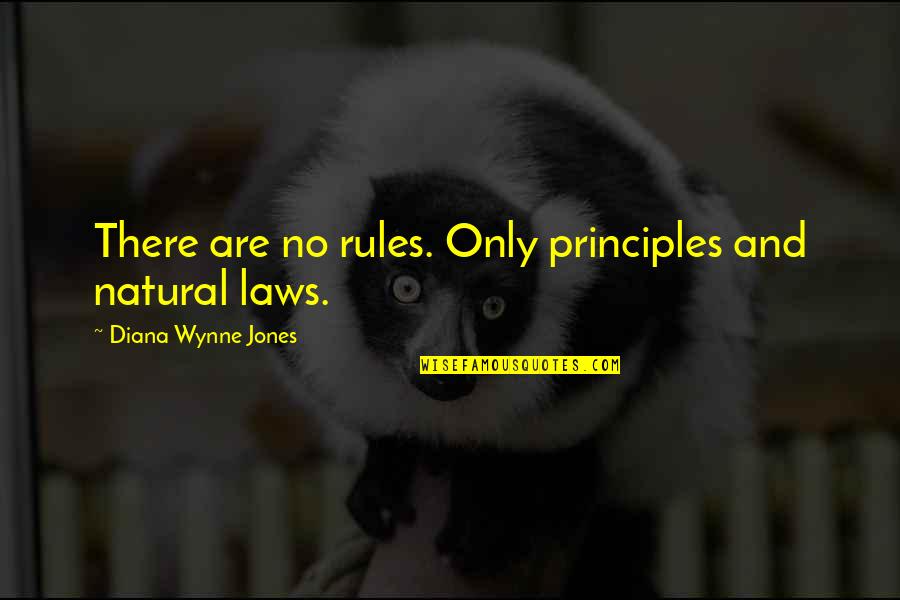 Gamedom 26561 Quotes By Diana Wynne Jones: There are no rules. Only principles and natural