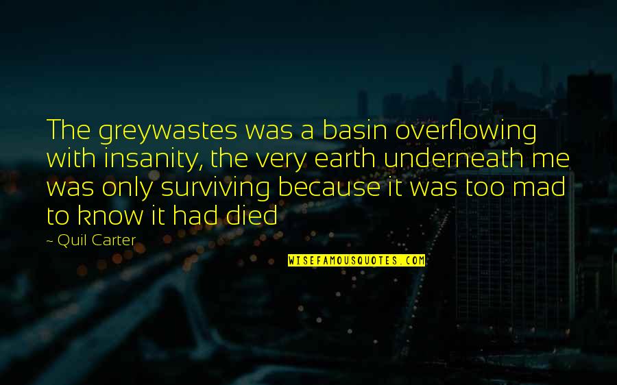 Gamekeepers Magazine Quotes By Quil Carter: The greywastes was a basin overflowing with insanity, Gamekeepers Magazine Quotes By Quil Carter: The greywastes was a basin overflowing with insanity,