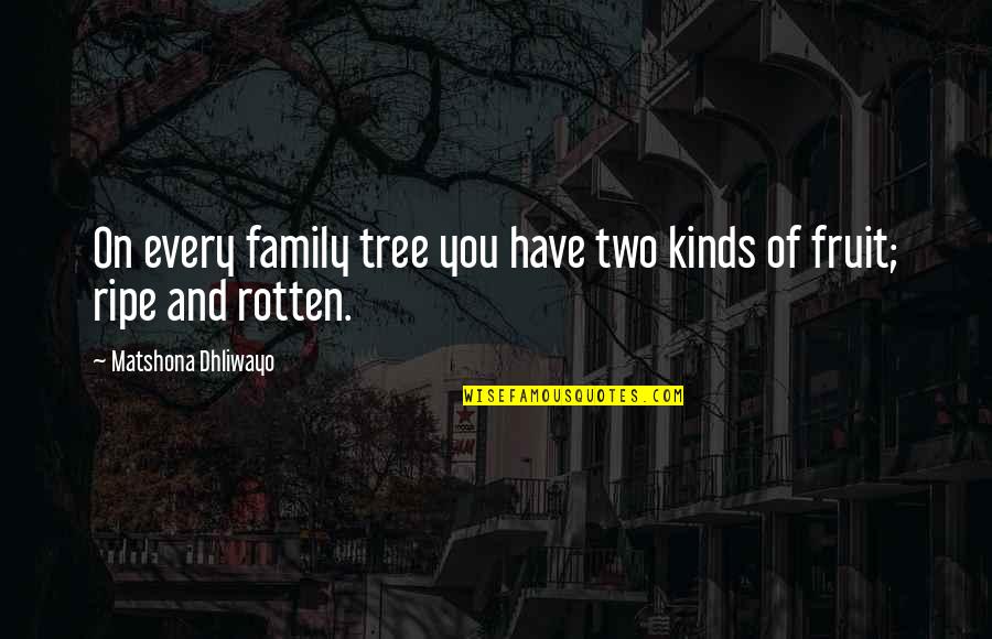 Games In Relationships Quotes By Matshona Dhliwayo: On every family tree you have two kinds