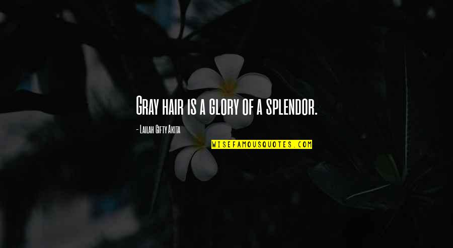 Games Under 20 Quotes By Lailah Gifty Akita: Gray hair is a glory of a splendor. Games Under 20 Quotes By Lailah Gifty Akita: Gray hair is a glory of a splendor.