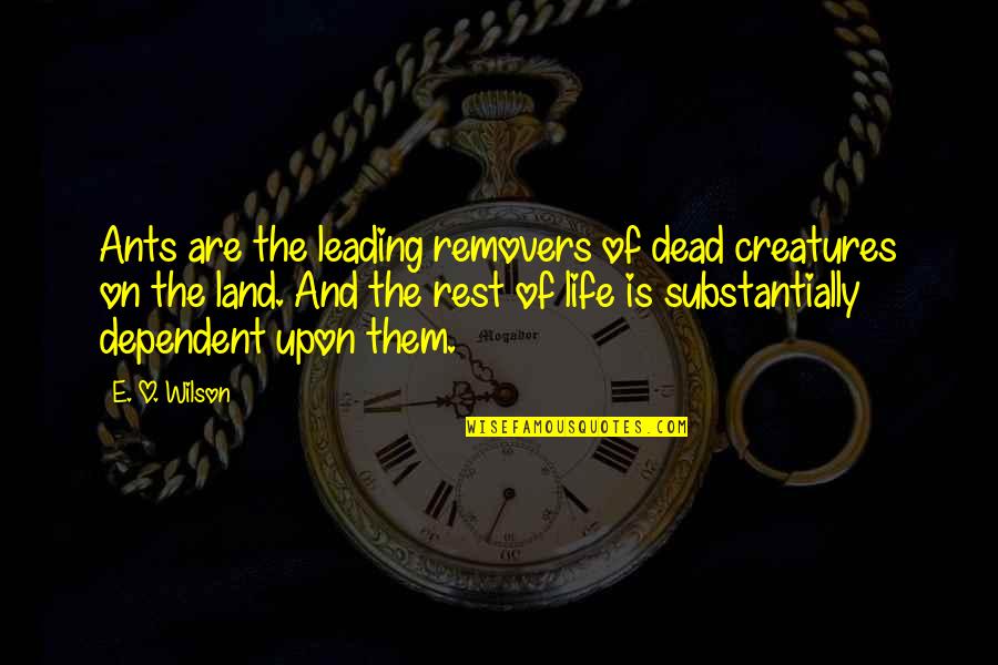 Gamitin Synonyms Quotes By E. O. Wilson: Ants are the leading removers of dead creatures Gamitin Synonyms Quotes By E. O. Wilson: Ants are the leading removers of dead creatures
