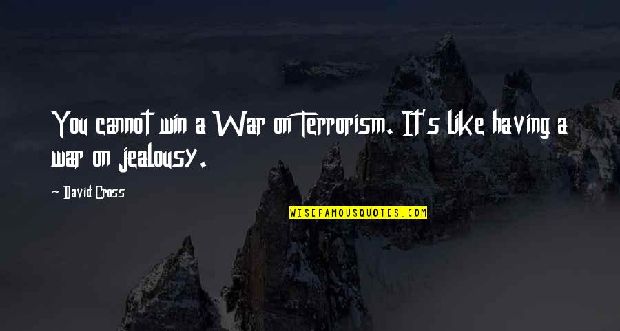 Gammond Transport Quotes By David Cross: You cannot win a War on Terrorism. It's