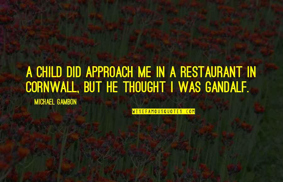 Gandalf's Quotes By Michael Gambon: A child did approach me in a restaurant