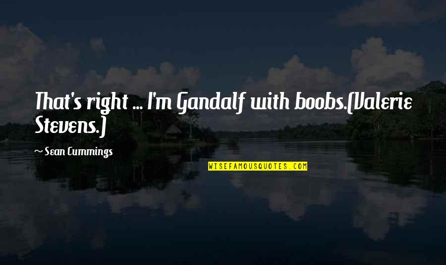 Gandalf's Quotes By Sean Cummings: That's right ... I'm Gandalf with boobs.(Valerie Stevens.) Gandalf's Quotes By Sean Cummings: That's right ... I'm Gandalf with boobs.(Valerie Stevens.)