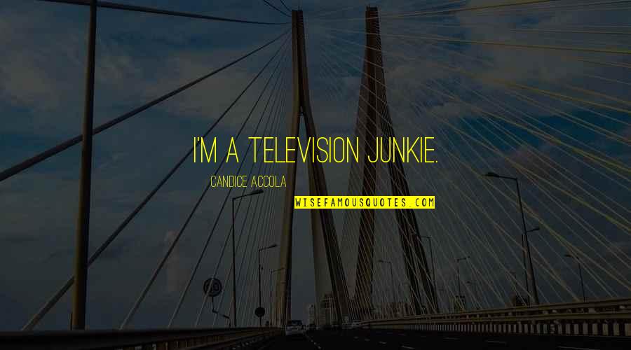 Gandamar Quotes By Candice Accola: I'm a television junkie.