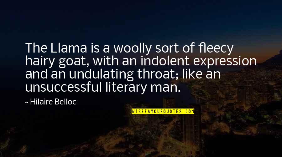 Gander Mountain Quotes By Hilaire Belloc: The Llama is a woolly sort of fleecy