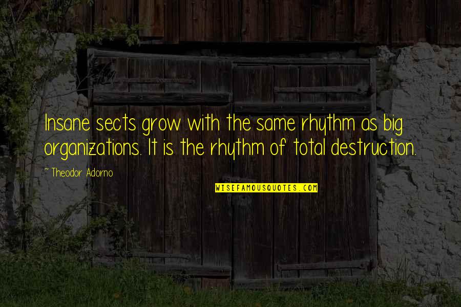 Gandhi Reincarnation Quotes By Theodor Adorno: Insane sects grow with the same rhythm as