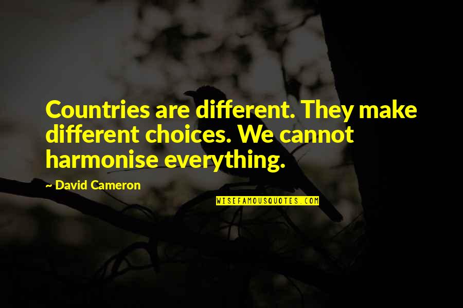 Gandhiji The Ceaseless Crusader Quotes By David Cameron: Countries are different. They make different choices. We Gandhiji The Ceaseless Crusader Quotes By David Cameron: Countries are different. They make different choices. We