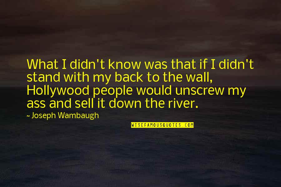 Ganesh Visarjan Quotes By Joseph Wambaugh: What I didn't know was that if I Ganesh Visarjan Quotes By Joseph Wambaugh: What I didn't know was that if I