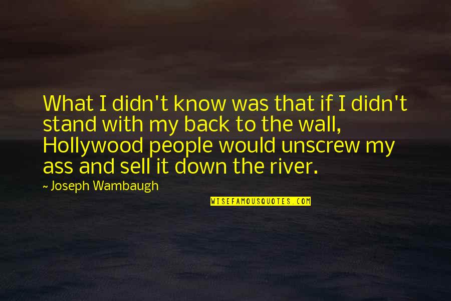 Ganesh Visarjan Quotes By Joseph Wambaugh: What I didn't know was that if I