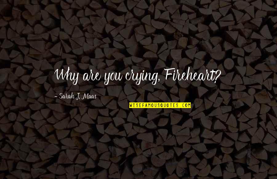 Ganesh Wishes Quotes By Sarah J. Maas: Why are you crying, Fireheart? Ganesh Wishes Quotes By Sarah J. Maas: Why are you crying, Fireheart?