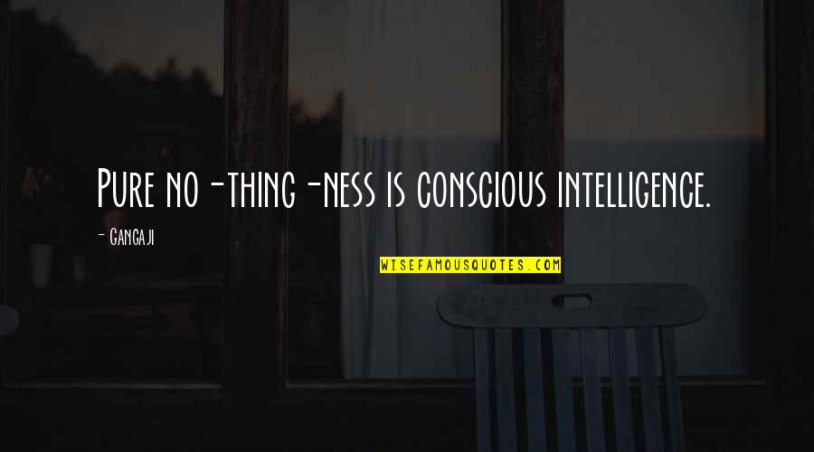 Gangaji Best Quotes By Gangaji: Pure no-thing-ness is conscious intelligence.