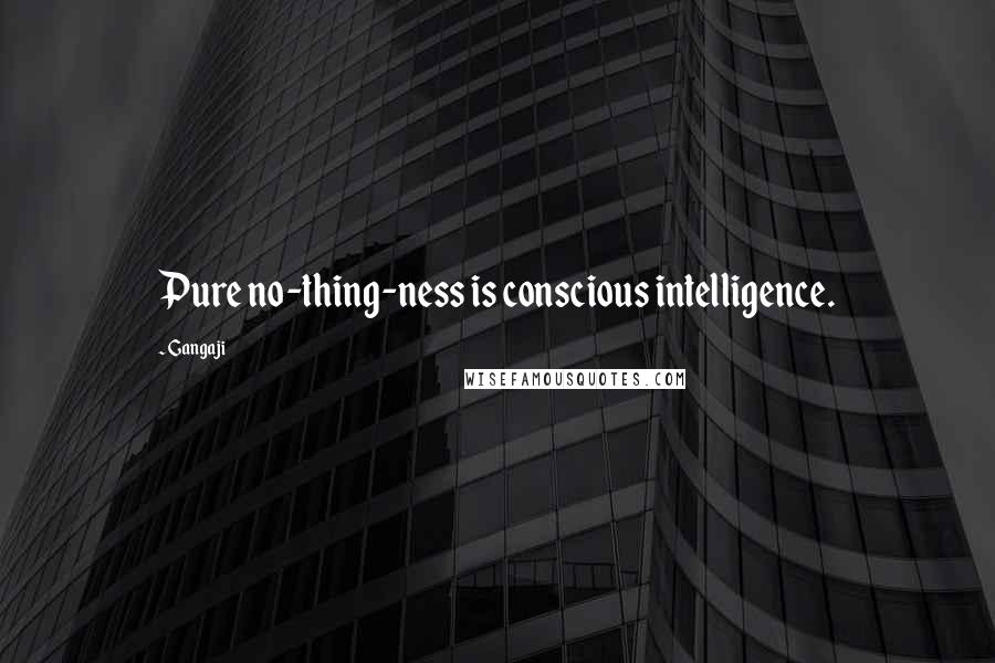 Gangaji quotes: Pure no-thing-ness is conscious intelligence.