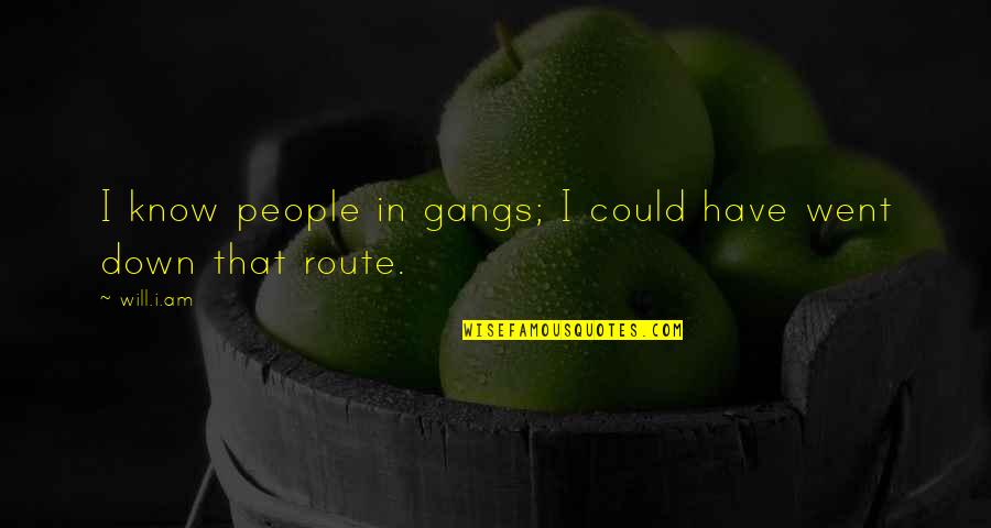 Gangs Quotes By Will.i.am: I know people in gangs; I could have