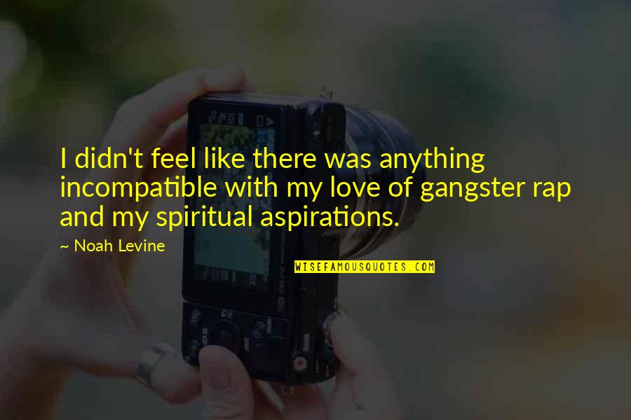 Gangster Love Quotes By Noah Levine: I didn't feel like there was anything incompatible