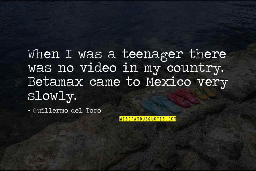 Gangways Or Breezeways Quotes By Guillermo Del Toro: When I was a teenager there was no Gangways Or Breezeways Quotes By Guillermo Del Toro: When I was a teenager there was no
