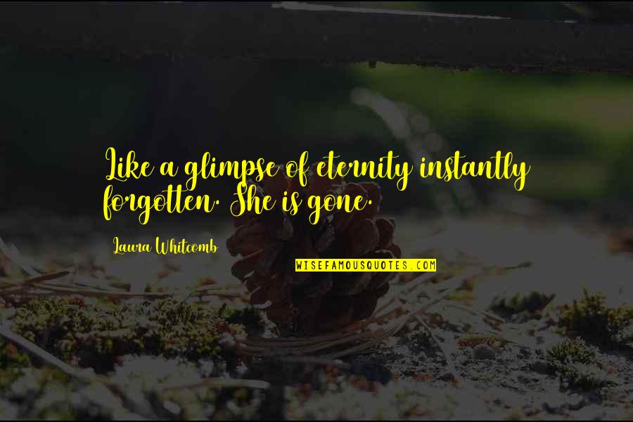 Ganked By Mom Quotes By Laura Whitcomb: Like a glimpse of eternity instantly forgotten. She