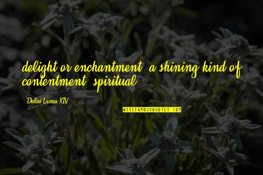 Gansukh Quotes By Dalai Lama XIV: delight or enchantment (a shining kind of contentment)