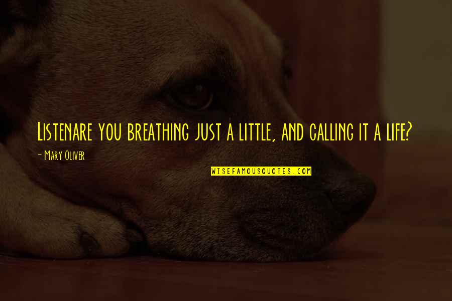 Gansukh Quotes By Mary Oliver: Listenare you breathing just a little, and calling