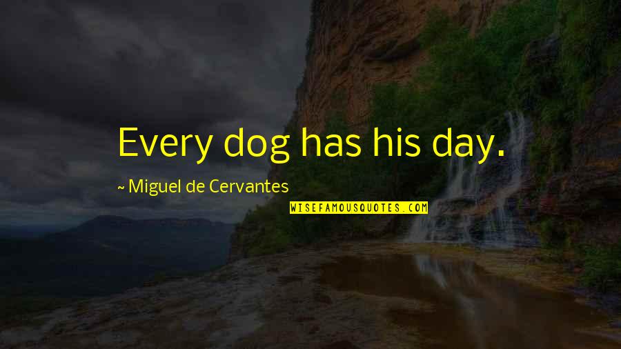 Gansukh Quotes By Miguel De Cervantes: Every dog has his day.