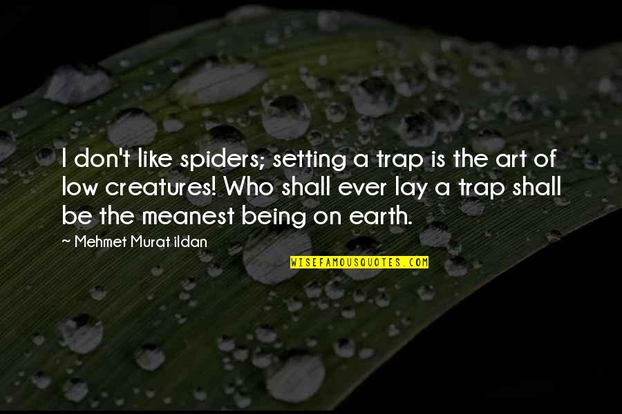 Ganti In English Quotes By Mehmet Murat Ildan: I don't like spiders; setting a trap is