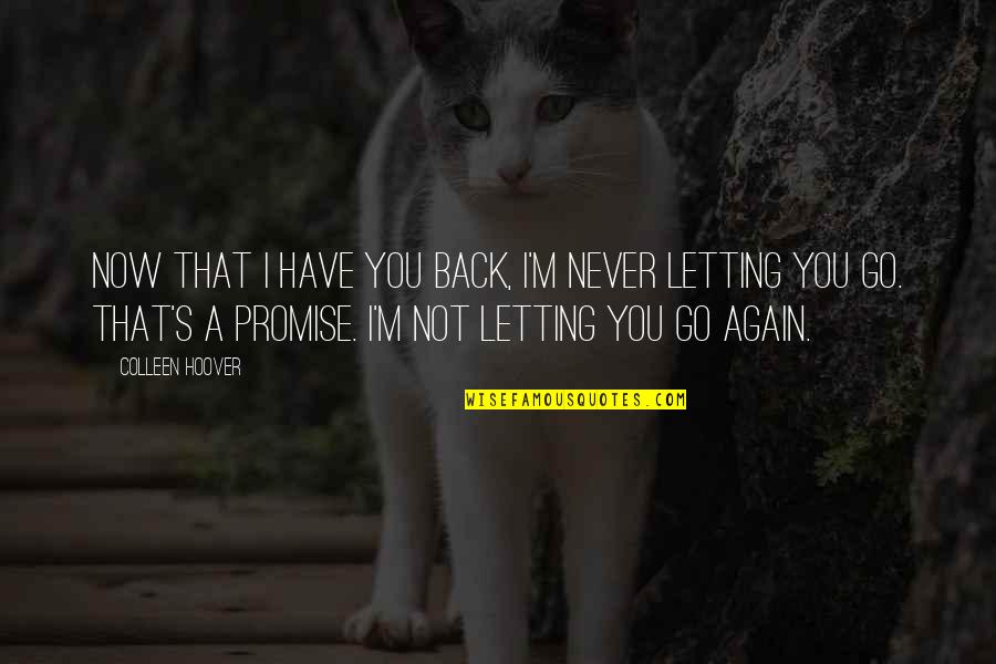 Ganzer Gregory Quotes By Colleen Hoover: Now that I have you back, I'm never