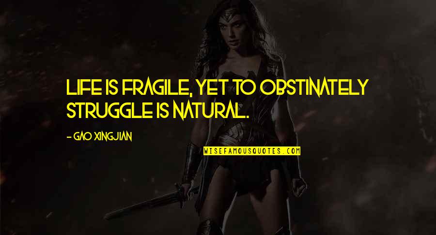 Gao Xingjian Quotes By Gao Xingjian: Life is fragile, yet to obstinately struggle is Gao Xingjian Quotes By Gao Xingjian: Life is fragile, yet to obstinately struggle is
