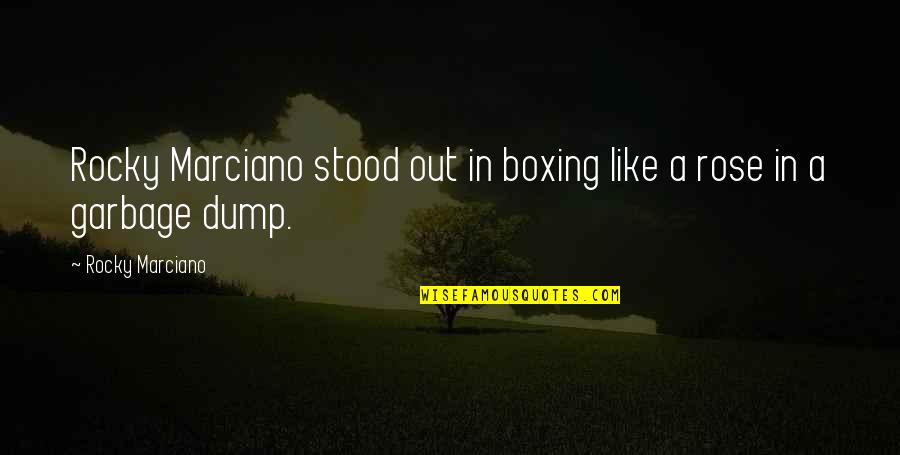 Garbage Dump Quotes By Rocky Marciano: Rocky Marciano stood out in boxing like a