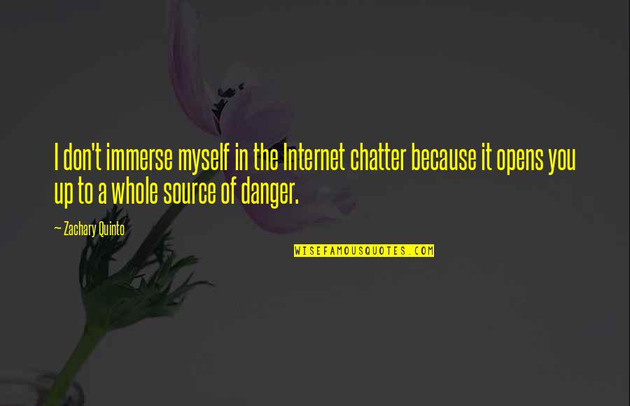 Garbh Sanskar Quotes By Zachary Quinto: I don't immerse myself in the Internet chatter