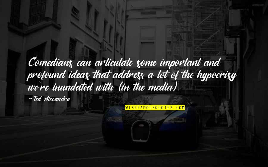 Garby X Quotes By Ted Alexandro: Comedians can articulate some important and profound ideas Garby X Quotes By Ted Alexandro: Comedians can articulate some important and profound ideas